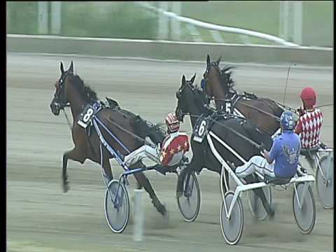 Trotto 17/06/2017 - 3ª corsa