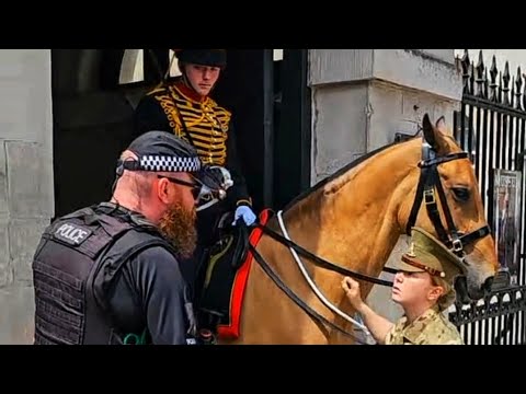 , title : 'WATER for the Horses! First time The King's Guard waters the Horses on a hot day at Horse Guards!'