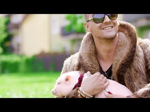 MACZO - Świnka (Official Video)