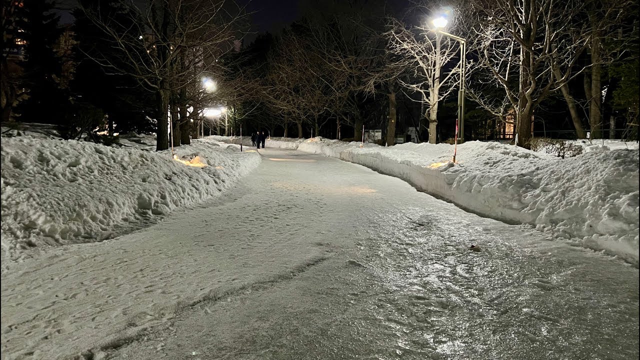 いつもの夜さんぽ