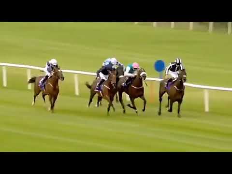 Eagle Spirit   Irish Stallion Farms EBF Maiden