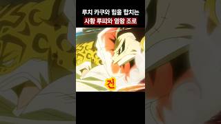 루치 카쿠와 힘을 합치는 루피 조로