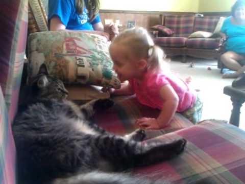 Brynn & Stewart the cat