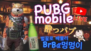 PUBG MOBAIL 배그모바일 BrB๕멍멍이 BrBクラメンで回るゆる雑談スクワット