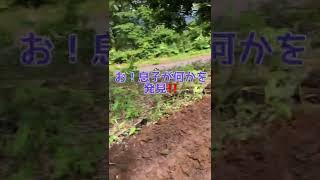 豊浦町theCAMP ついに重機投入‼️