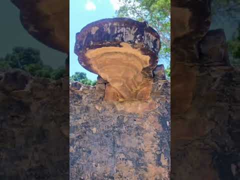 Igreja de Bom Jesus de Matozinhos, Barra do Guaicuí (Minas Gerais)Part 2