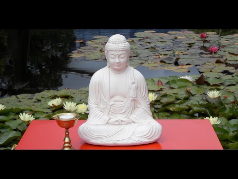 Vipashyana-Einsichts-Meditation - Buddha-Natur - Morgen des 15.6.2023 - Yesche