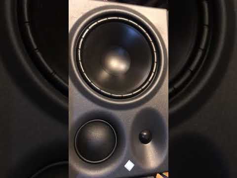 Neumann KH310 inside