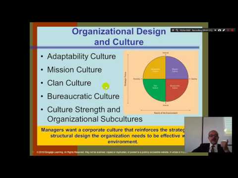 Organization Theory and Design Daft Chapter 1 Part 1 Introduction
