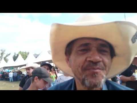 pião di boiadero nersso