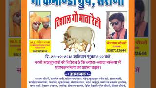 preview picture of video 'Gou mata ralley sarana jalore'