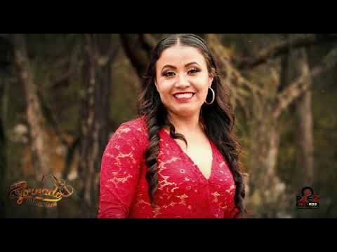 Tu "Trio Tornado Huasteco "