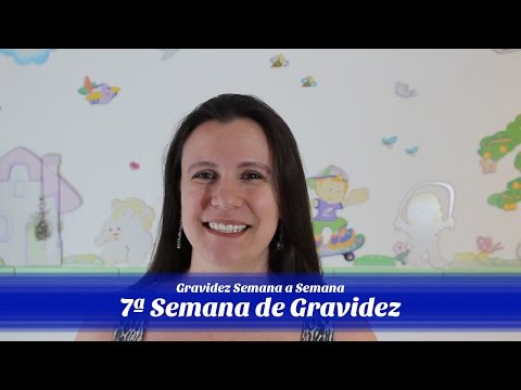 7ª Semana de gravidez