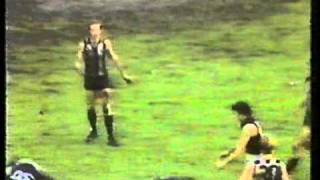 One day In September Mike Brady With VFL/AFL Highlights Video Made In 1993