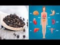 What Is Black Pepper Good For? 9 Amazing Benefits of Black Pepper