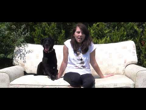 Videospot a fotografie pre psí hospic Dejte nám šanci