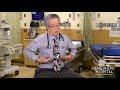 How Can Parents Tell If Their Baby Has A Breathing Problem Craig Nakamura MD