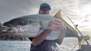 Hectic! Tuna, Thresher Sharks, and Big Kingfish Bite at the Same Time