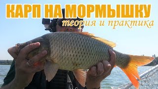 Мормышки на карпа летом