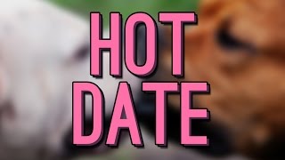 AIN'T NO DOGGY STUFF IN THE CHAMPAGNE ROOM! - [HOT DATE - RANDOMPLAYS]