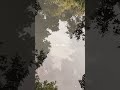I AM YOU