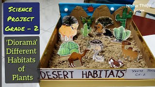 Science Project Grade 2 ~ Diorama Different Habitats of Plants & Animals ~ Desert Habitat