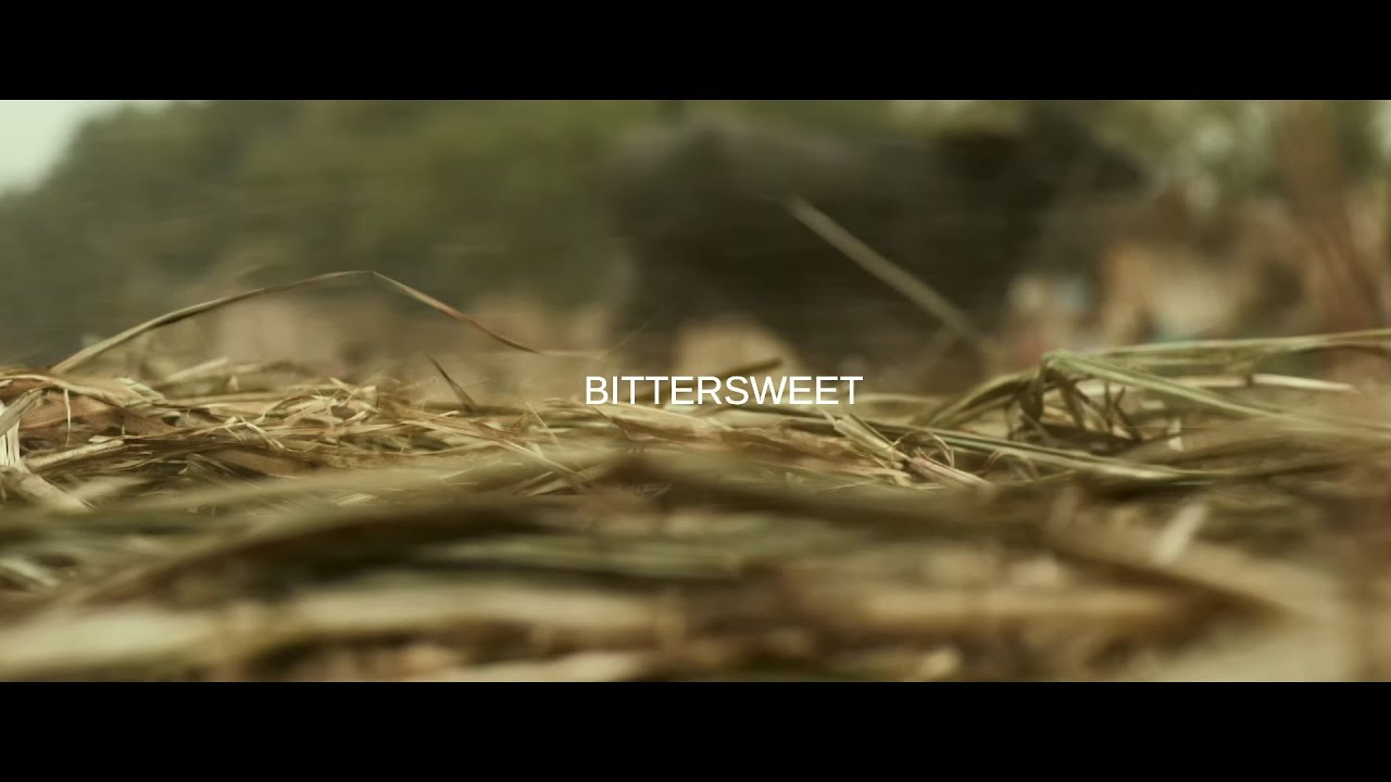 #BIFF2020 A Window on Asian Cinema - Bittersweet / 아시아 영화의 창 - 사탕수수의 맛