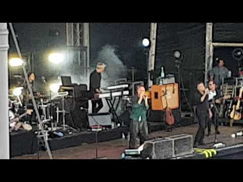 Laid - James, at Doncaster races 17/8/19