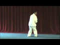 XingYi 5 Elements Splitting Fist Master Shao Zhao Ming