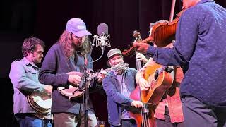 Mighty Poplar - Handsome Molly (Doc Watson) Live at Ardmore Music Hall - 4K