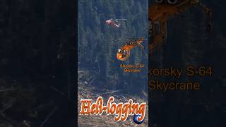🚁 Heli-logging 🌲 #Shorts