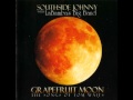 Southside Johnny - Dead and Lovely.wmv