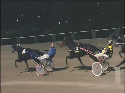 Trotto 22/11/2019 - 8ª corsa