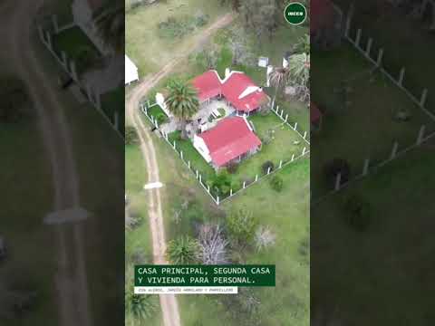 REMATE PARTICULAR - Estancia "El Charabón" - Lavalleja #campo #agricultura #agriculture #ganadero