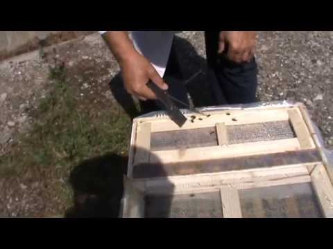 2. Apicultura video - Organizarea pentru iernat la BioStup - prof. Ursu pavilion si vatra 2/2