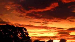 Ricardo Andrade  -Elemento-