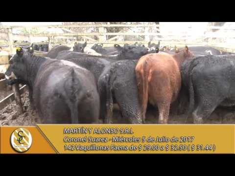 05-07-17 Venta Vaquillonas Faena - Martín y Alonso - Coronel Suárez