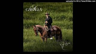 Reyli Barba &amp; Alfredo Olivas - Amor Del Bueno