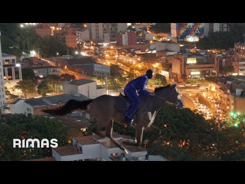 BAD BUNNY ft. FEID - PERRO NEGRO (Visualizer) | nadie sabe lo que va a pasar mañana