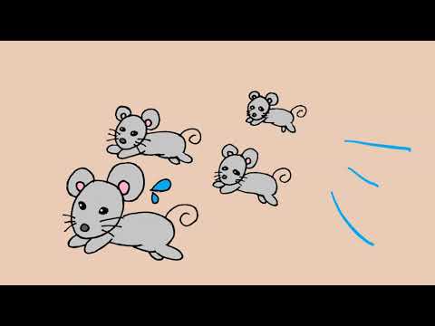 日本文化学科 犬と猫と指輪（いぬとねことゆびわ）