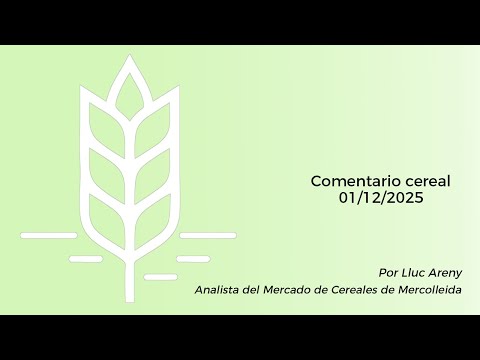 Comentario cereal - 01/12/2025