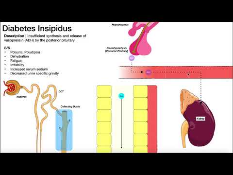 Propolisz diabétesz kezelésére