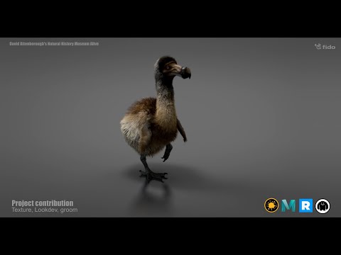 Peter Aversten, Lead Texture Artist | Breakdown |  David Attenborough's Natural History Museum Alive