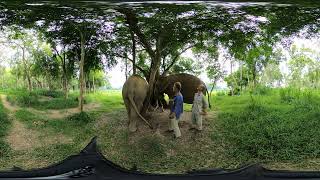 VR Introduction to the Foundation (English)