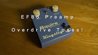 Video thumbnail for Kingsley Squire EF86 | Tube Preamp Overdriven Tones (Playthrough - No Talking) by Andrew Cheng - Guitarist