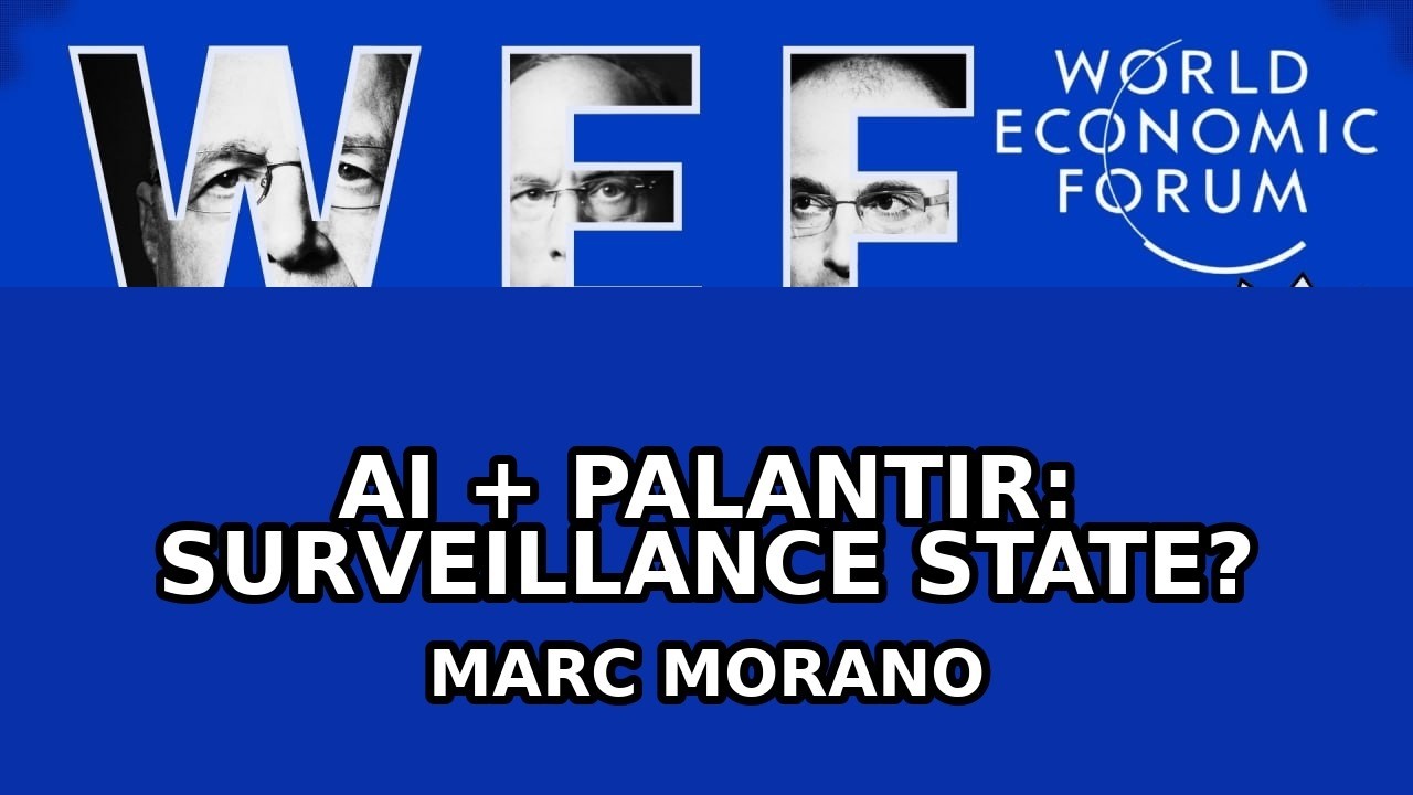 AI + PALANTIR: SURVEILLANCE STATE?