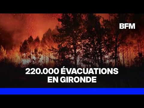 Incendie en Gironde: 42.000 hectares de 