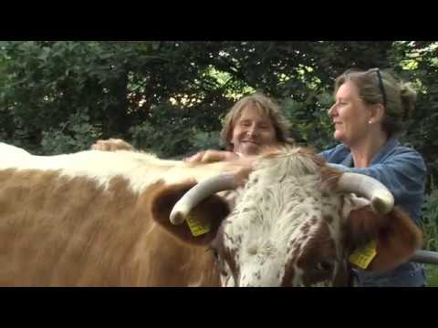 Vacht en Veren aflevering 28: Boerderij Wolfslaar - vacht