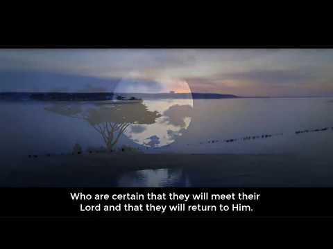 Beautiful Quran recitation | 'Umair Shamim - Surah Al-Baqara 44-48