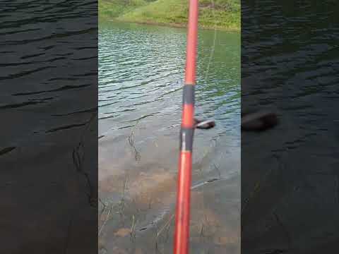 águas lindas de três ranchos em Goiás